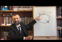 Tou Bichevat dans la halakha (1/2)