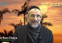 LE CHEVAL DE BATAILLE DE LA FIN DES TEMPS : 8 SEMAINES DE COMBAT INTENSIVES : CHOVAVIM -TAT 5784 !