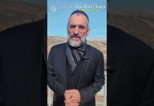 INVESTISSONS POUR NOS FRÈRES AU COMBAT … COMME MOCHÉ RABBÉNOU !