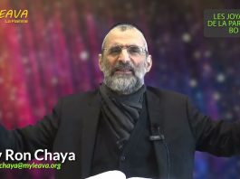 LES ARMÉES CÉLESTES DE D.IEU SONT AVEC NOUS !! PARACHAT BO