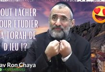 TOUT LACHER POUR ÉTUDIER LA TORAH DE D.IEU !? 😍
