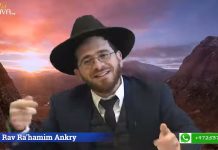 Des FORCES pour toute l’année ! TOU BICHEVAT (15 chévat)