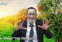 TOU BICHEVAT (15 CHEVAT) OU LE RENOUVEAU DE LA CRÉATION !