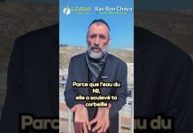 VINGT-DEUX MLLE CADEAUX PAR JOUR … RIEN QUE ÇA !! 🎁