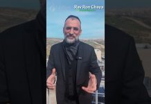 UNE RÉHABILITATION DANS LES RÈGLES DE L’ART !