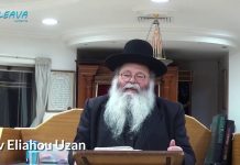 🪄 LE POUVOIR DE L’ÊTRE HUMAIN SUR LA MATIÈRE ! PARACHAT TETSAVÉ