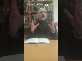 LA FOI DANS NOS LOIS ! 24