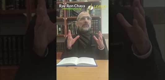 LA FOI DANS NOS LOIS ! 24