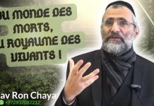 🥀 DU MONDE DES MORTS … AU ROYAUME DES VIVANTS …!? 🕯️