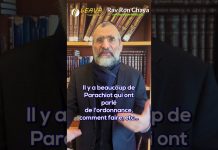 LE SENS PROFOND DES MITSVOT BIENTÔT RÉVÉLÉ ..?