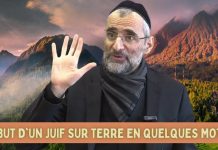LE BUT D’UN JUIF SUR TERRE EN QUELQUES MOTS !