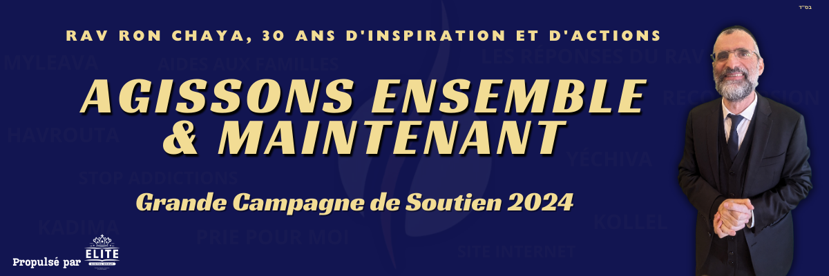 Campagne 2024