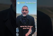 🥊 NOUS NOUS BATTONS POUR L’ÉTERNITÉ, NE L’OUBLIONS PAS !!