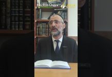 GARDONS NOS BONNES MIDDOT ! 58