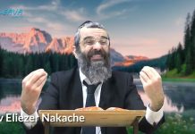 💰 TOUT L’OR ET L’ARGENT DU MONDE ! 13 – LIVRE NÉFECH HA’HAIM