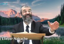 RECEVOIR UNE NOUVELLE ÂME DE SON VIVANT ?? 16 – LIVRE NÉFECH HA’HAIM