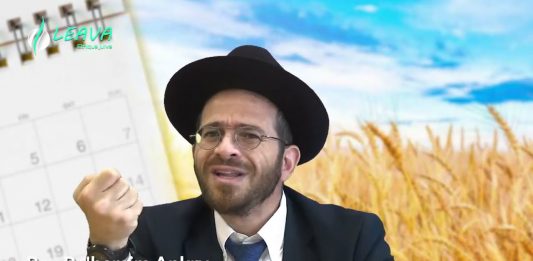 LE FEU DE LA TORAH – LA PÉRIODE DU OMER