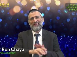 5️⃣ ÂMES, 5️⃣ LETTRES DE D.IEU, 5️⃣ LIVRES DE LA TORAH ET LES 5️⃣ MÉCANISMES DE LA PAROLE ? BAMIDBAR