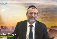 👸 DE LA PRINCESSE « RUTH » … AU ROI « DAVID » 👑 : TOUTE L’HISTOIRE – CHAVOUOT 2024