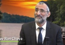 😅 LE TRAVAIL D’UNE VIE … À NE PAS MANQUER !?