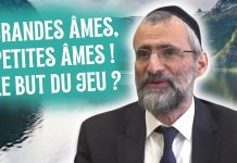 GRANDES ÂMES, PETITES ÂMES : LE BUT DU JEU ? 🃏