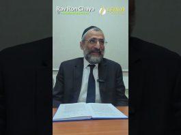 C’EST NOUS LES MEILLEURS ! 73