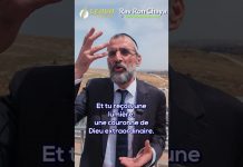 🤌 PATIENCE : ON MANGE ! 😋