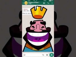TORATCHAT : PARACHAT BALAK