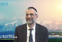 💫 NOUS VENONS DES MONDES D’EN HAUT, NOUS NE SOMMES PAS NOS CORPS ! 🏋️♂️