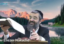 LA BÉNÉDICTION EN QUALITÉ ET EN QUANTITÉ ?? 28 – LIVRE NÉFECH HA’HAIM