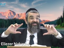 SE COLLER À LA TORAH … POUR LA TORAH !? 29 – LIVRE NÉFECH HA’HAIM