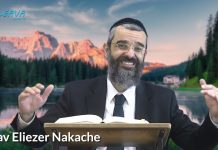 S’ACCROCHER À L’ARBRE DE VIE ! 31 – LIVRE NÉFECH HA’HAIM