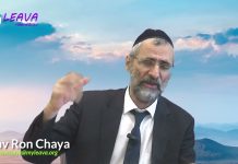 SE PARER DE NOS COURONNES AVANT DE SORTIR LE MATIN ! ☕ BIEN COMMENCER LA JOURNÉE (P20)