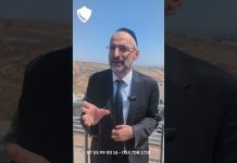 Profitez de l’été 🌞 pour passer à l’action – Rav Ron Chaya