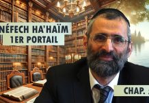Volonté de D.IEU sur l’Homme – Livre Néfech Ha’Haïm – Chap. 5 (P08)
