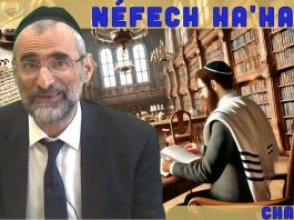 Les figures des différents mondes – Livre Néfech Ha’Haïm – Chap. 6 (P10)