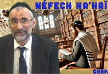 Les Tsadikim et leurs actions – Livre Néfech Ha’Haïm – Chap. 6 (P11)