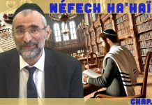 Les lois et leurs secrets – Livre Néfech Ha’Haïm – Chap. 6 (P12)