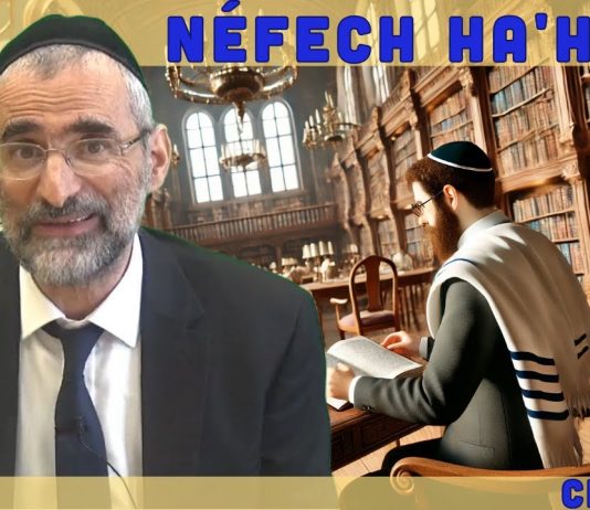 Les lois et leurs secrets – Livre Néfech Ha’Haïm – Chap. 6 (P12)