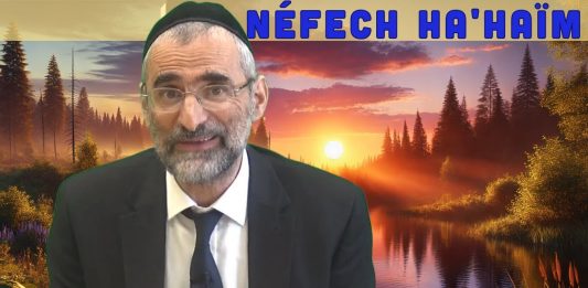 Le sens caché des Chérubins – Livre Néfech Ha’Haïm – Chap. 8 (P15)