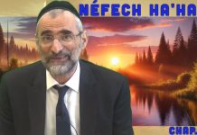 La pomme pour D.IEU ou pour l’Homme ? – Livre Néfech Ha’Haïm – Chap. 8 (P18)