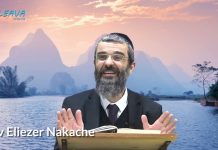 Toutes les actions ont un sens – (P19) – Messilat Yécharim