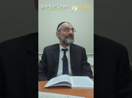 Décryptage des actions de la Torah – Lois de Téchouva (Chap 1 – 1ère partie) – Rav Ron Chaya