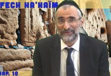 La valeur de la Kédousha faite par l’Homme – Livre Néfech Ha’Haïm – Chap. 11 (P20)