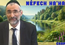 Les Anges par rapport aux Hommes – Livre Néfech Ha’Haïm – Chap. 10 (P19)