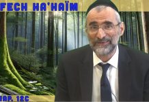 Passer l’éponge – Livre Néfech Ha’Haïm – Chap. 12 (P23) – Rav Ron Chaya