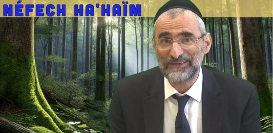 Passer l’éponge – Livre Néfech Ha’Haïm – Chap. 12 (P23) – Rav Ron Chaya