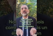 L’enseignement des Grands d’Israël – Rav Ron Chaya