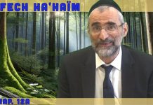 Les âmes dans le corps de l’Homme – Livre Néfech Ha’Haïm – Chap. 12 (P21)