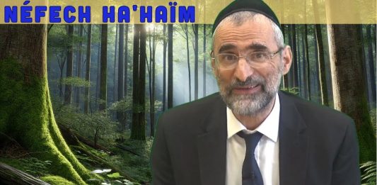 Les âmes dans le corps de l’Homme – Livre Néfech Ha’Haïm – Chap. 12 (P21)